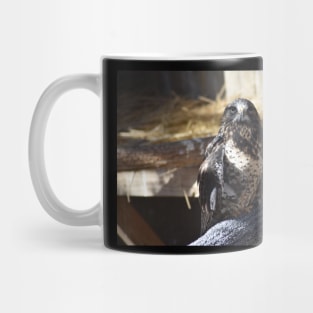 Hawk Mug